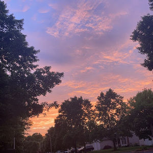 Meet your Posher, Rhea